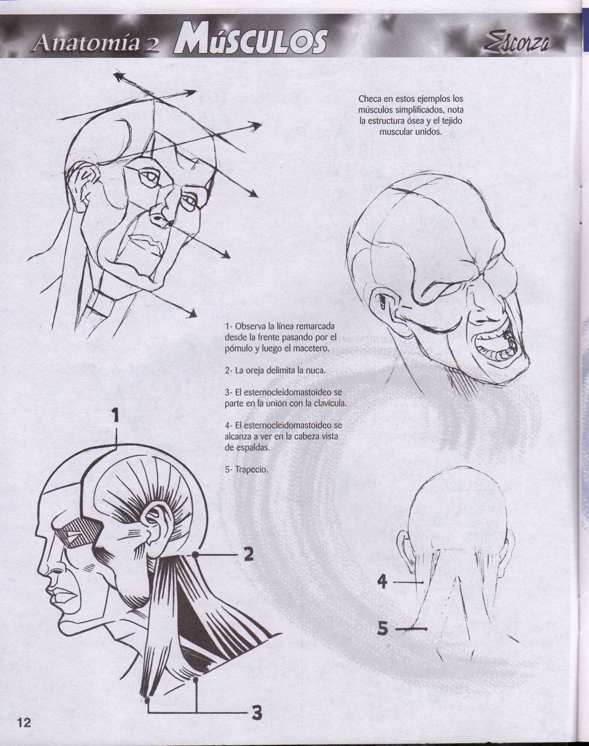 DibujArte Edicion Normal - 21 al 50 / de 50 [Spanish] 277