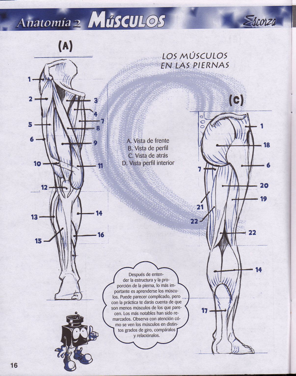 DibujArte Edicion Normal - 21 al 50 / de 50 [Spanish] 281