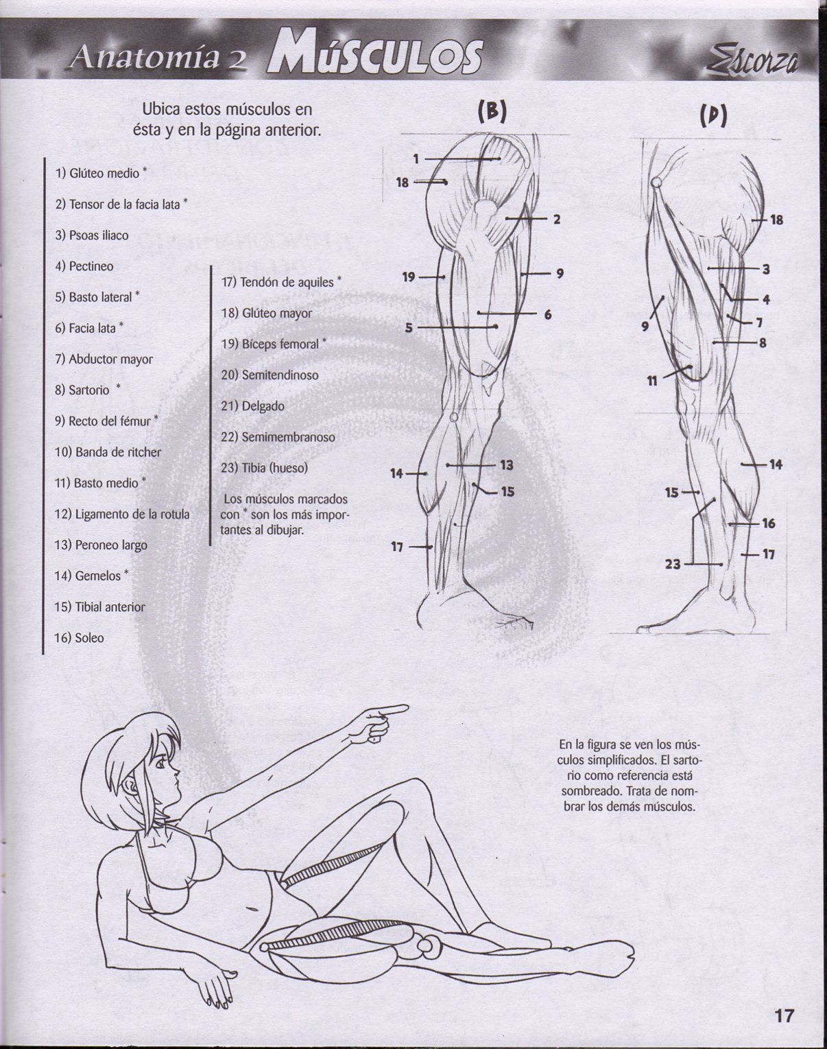 DibujArte Edicion Normal - 21 al 50 / de 50 [Spanish] 282