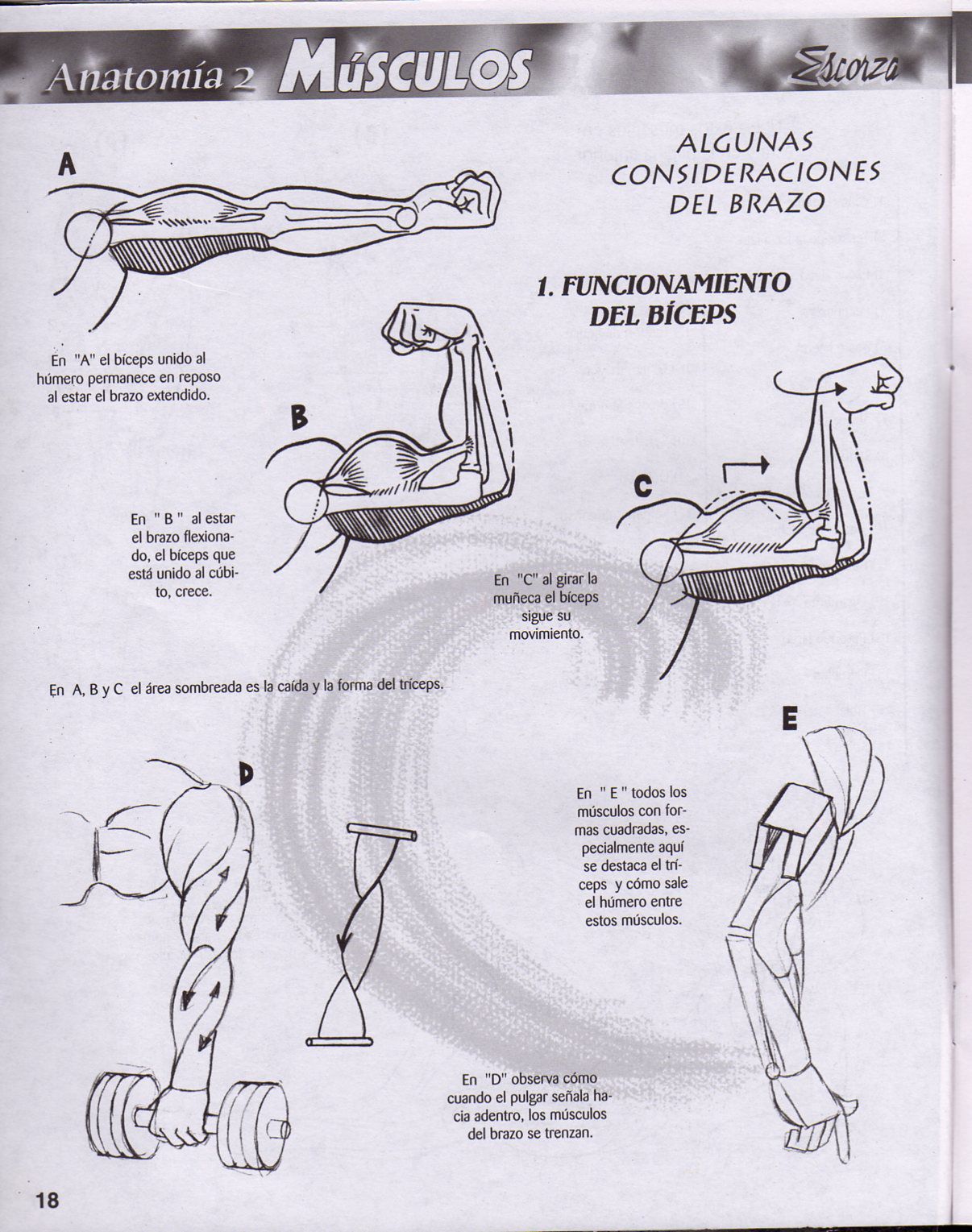 DibujArte Edicion Normal - 21 al 50 / de 50 [Spanish] 283