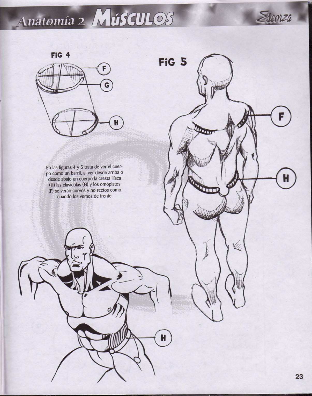 DibujArte Edicion Normal - 21 al 50 / de 50 [Spanish] 288