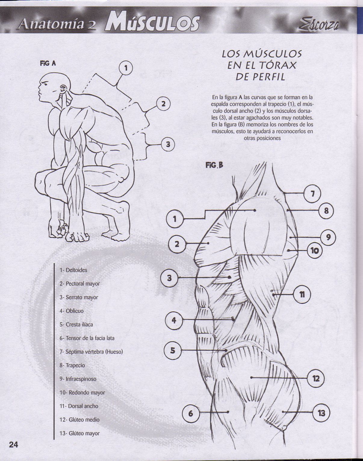 DibujArte Edicion Normal - 21 al 50 / de 50 [Spanish] 289