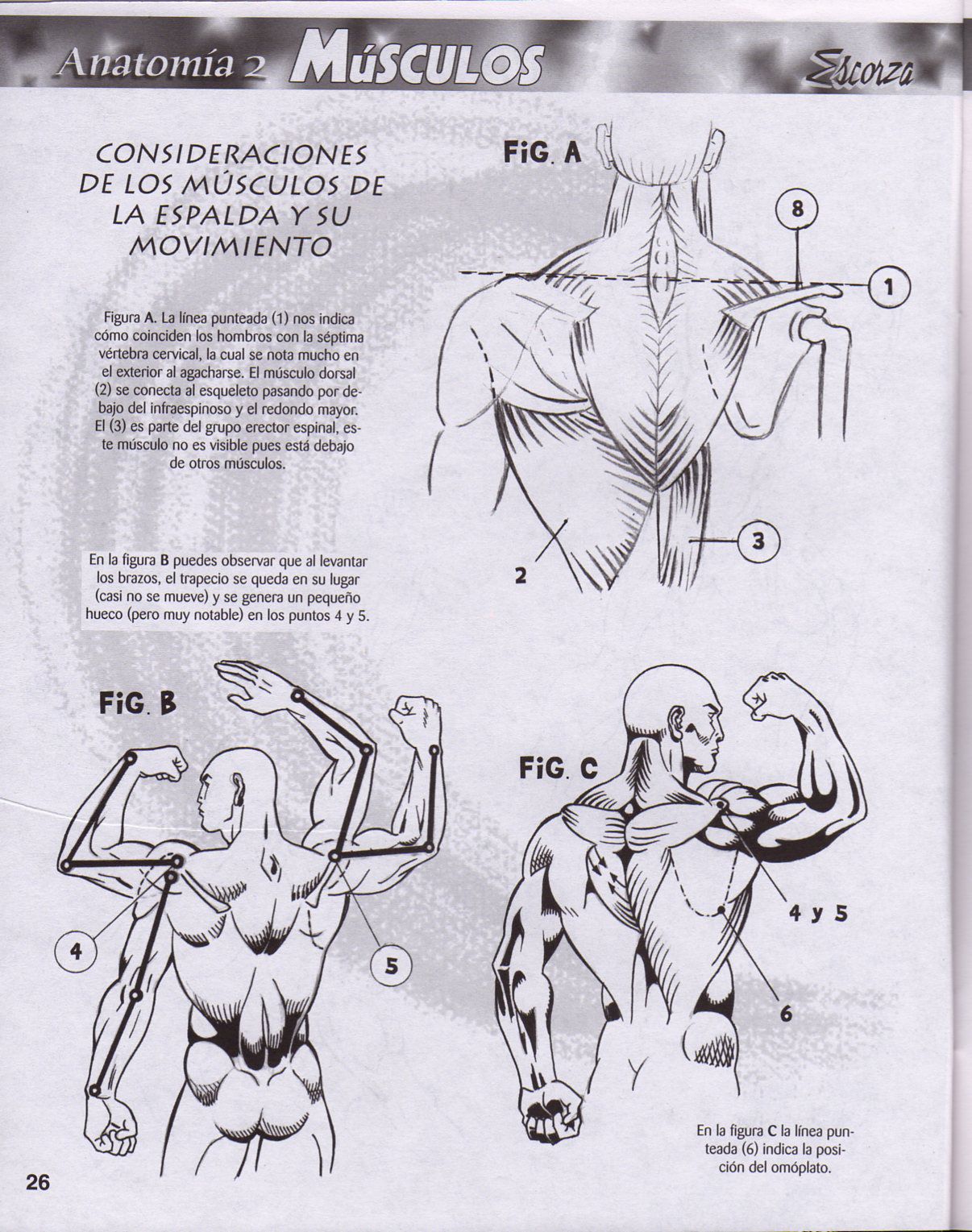 DibujArte Edicion Normal - 21 al 50 / de 50 [Spanish] 291