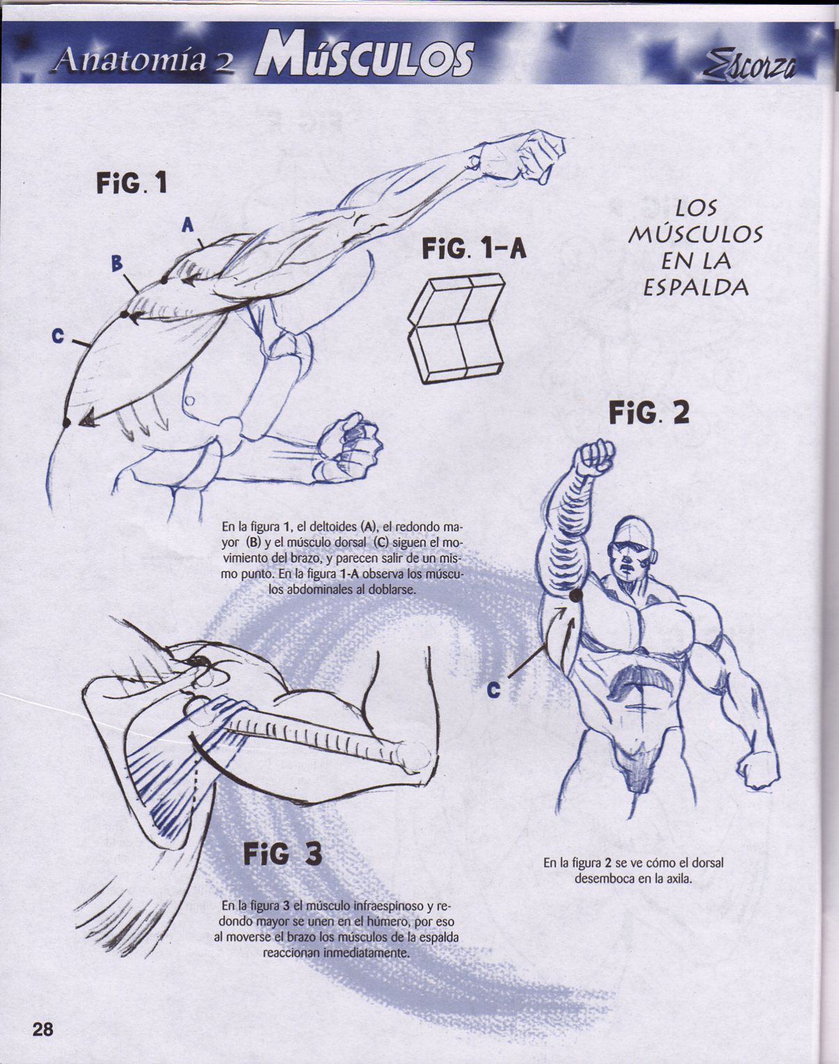 DibujArte Edicion Normal - 21 al 50 / de 50 [Spanish] 293