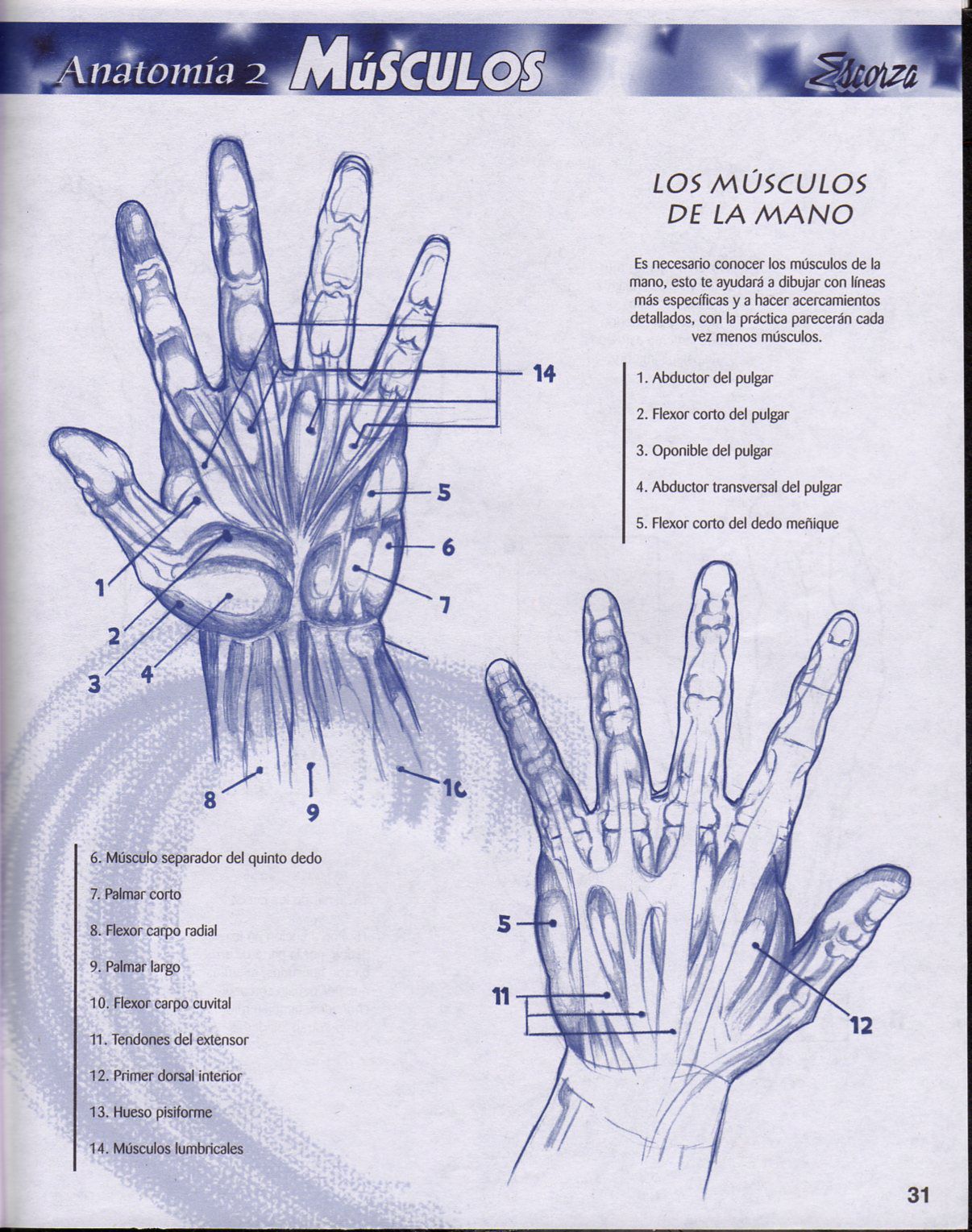 DibujArte Edicion Normal - 21 al 50 / de 50 [Spanish] 296