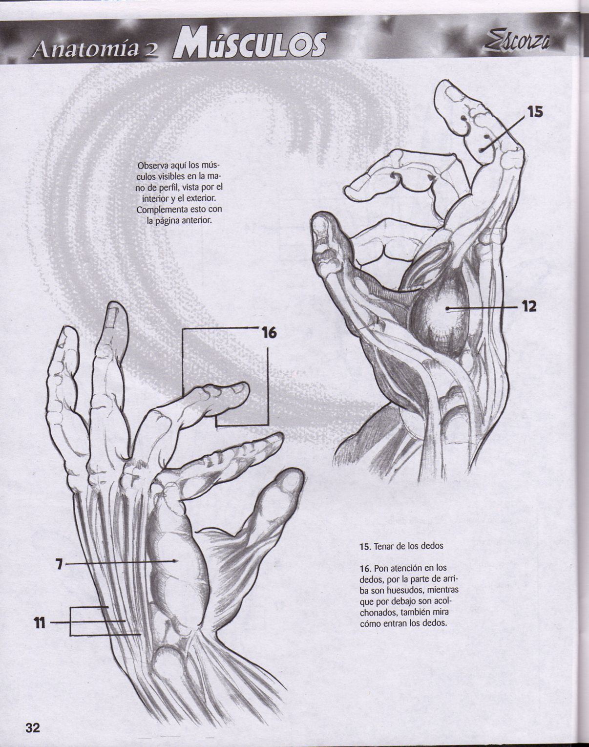 DibujArte Edicion Normal - 21 al 50 / de 50 [Spanish] 297