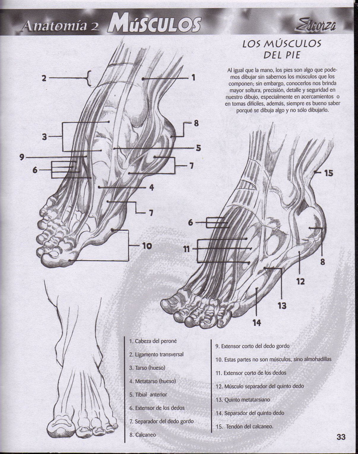 DibujArte Edicion Normal - 21 al 50 / de 50 [Spanish] 298