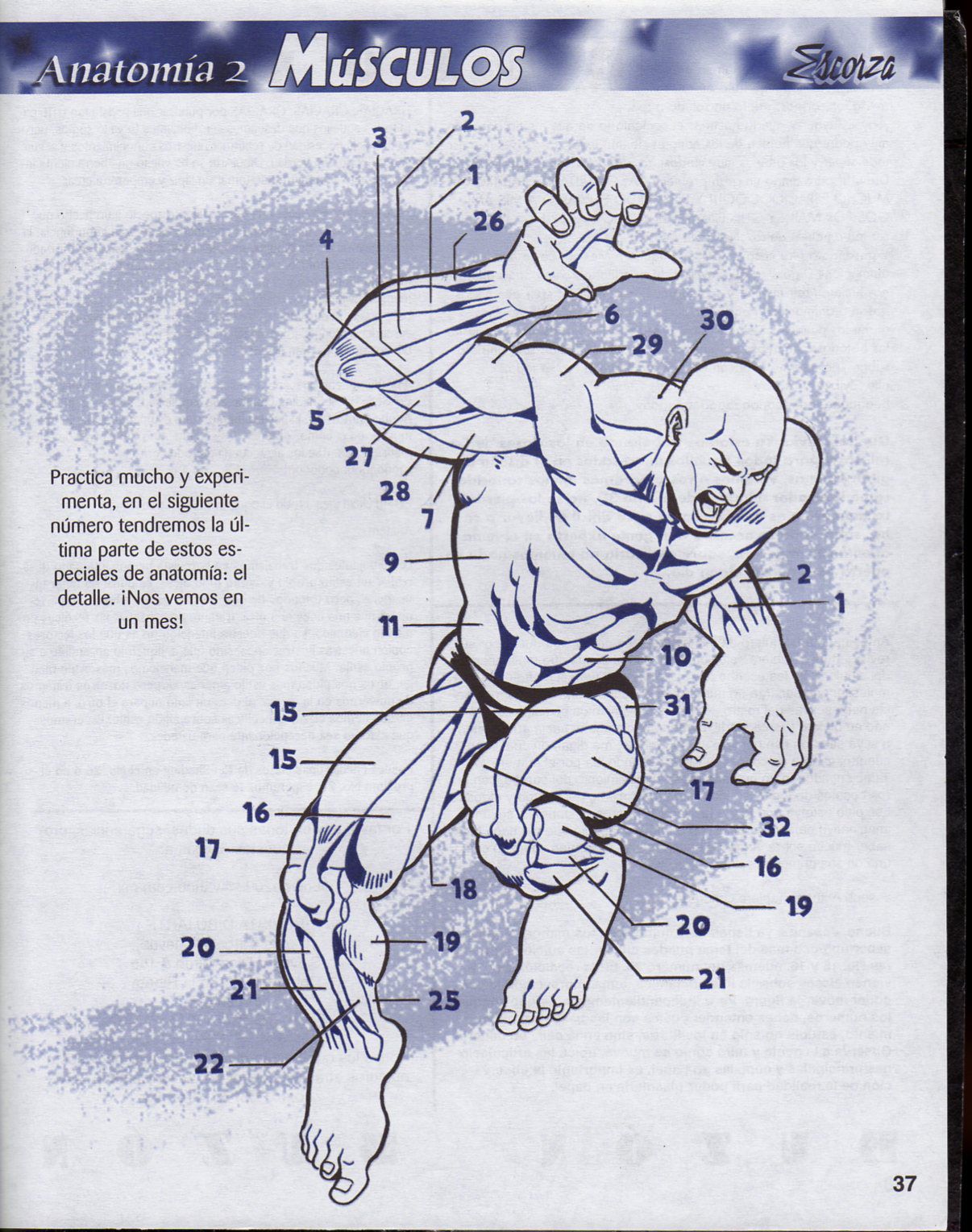 DibujArte Edicion Normal - 21 al 50 / de 50 [Spanish] 302