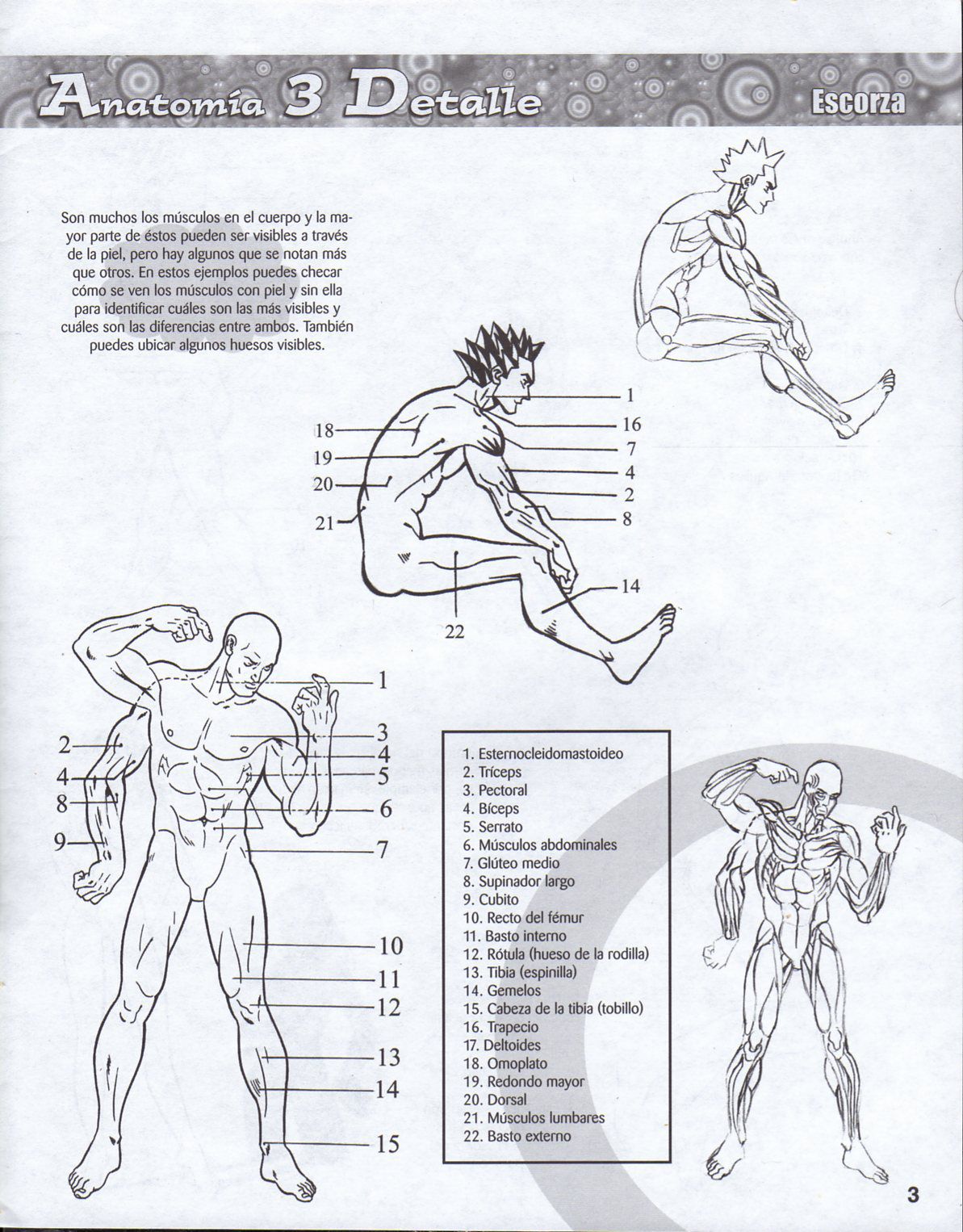 DibujArte Edicion Normal - 21 al 50 / de 50 [Spanish] 356