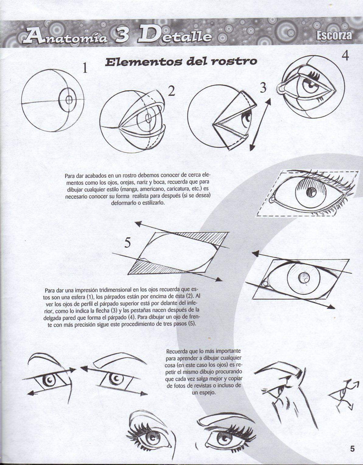 DibujArte Edicion Normal - 21 al 50 / de 50 [Spanish] 358