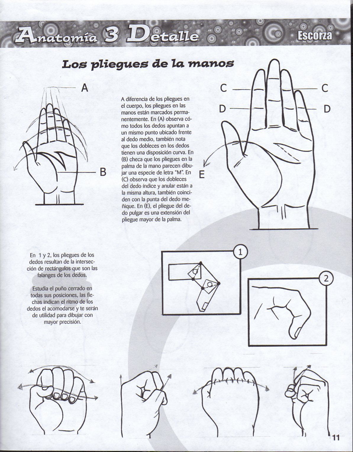 DibujArte Edicion Normal - 21 al 50 / de 50 [Spanish] 364