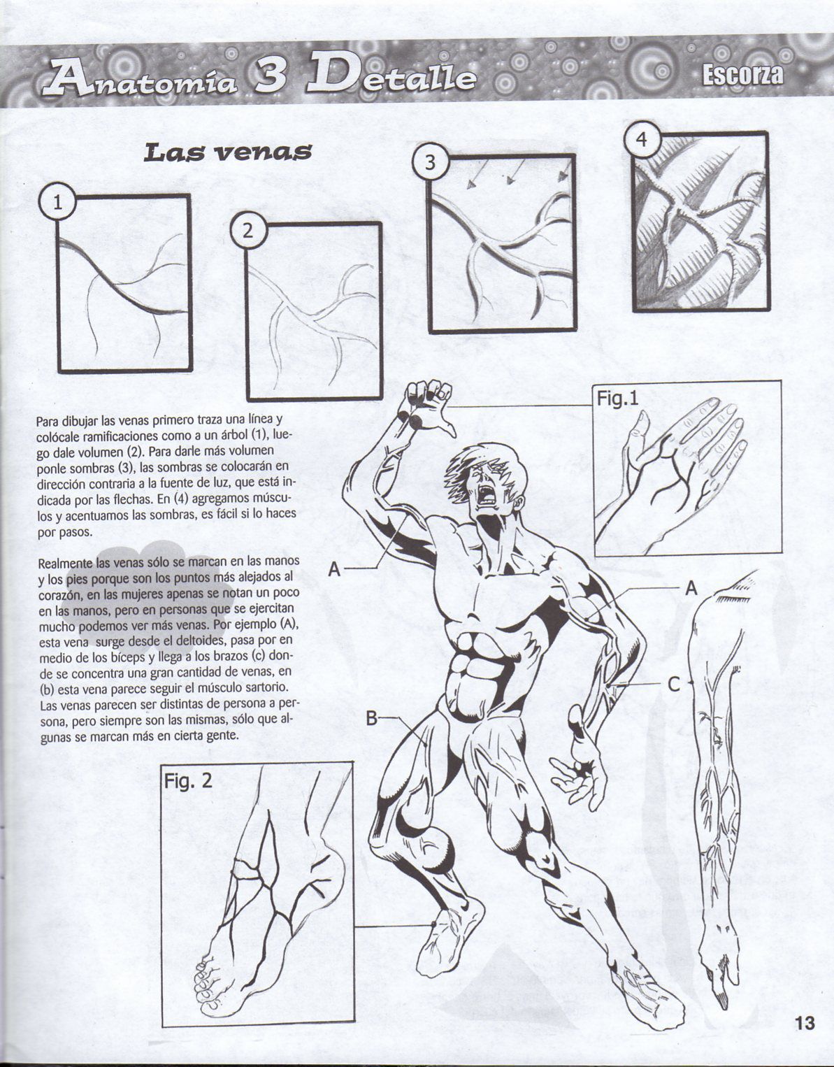 DibujArte Edicion Normal - 21 al 50 / de 50 [Spanish] 366