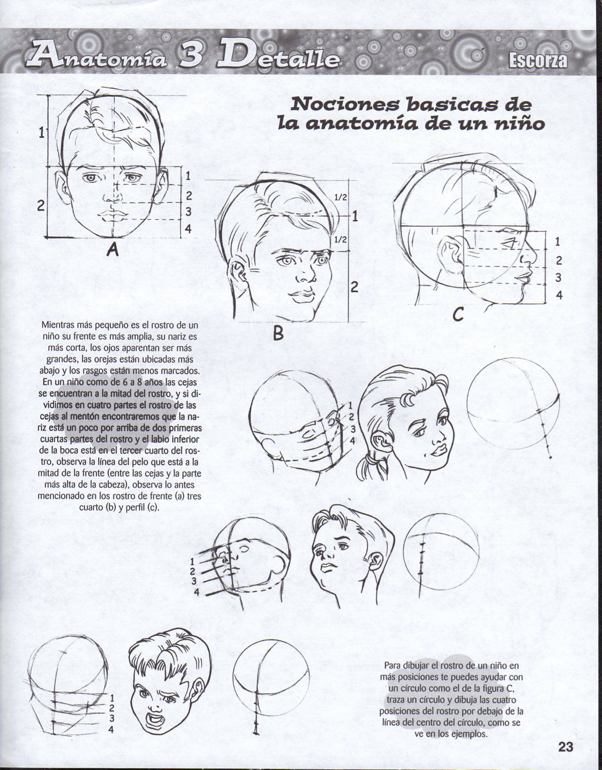 DibujArte Edicion Normal - 21 al 50 / de 50 [Spanish] 376