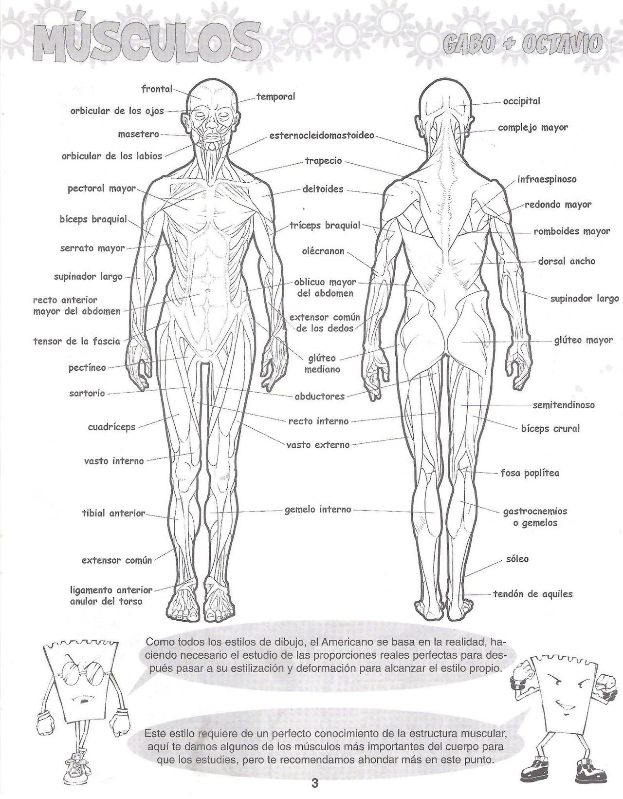 DibujArte Edicion Normal - 21 al 50 / de 50 [Spanish] 5