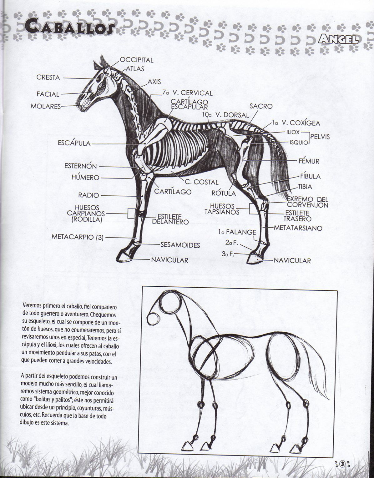 DibujArte Edicion Normal - 21 al 50 / de 50 [Spanish] 708