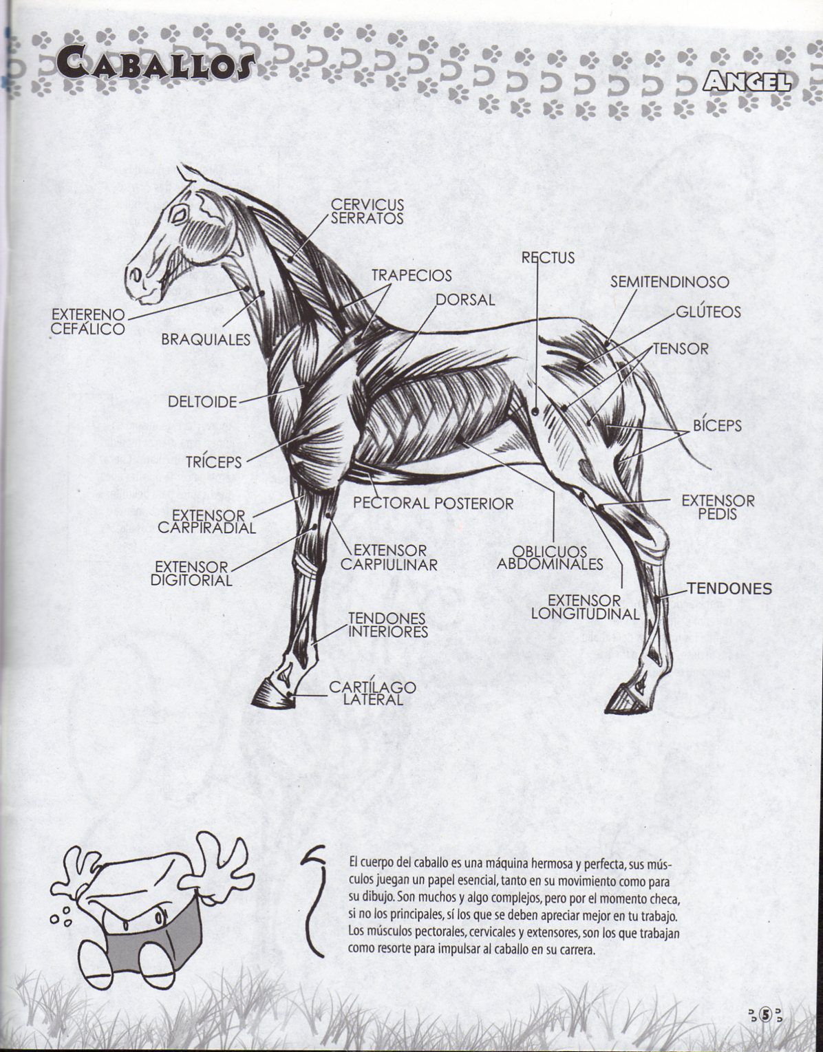 DibujArte Edicion Normal - 21 al 50 / de 50 [Spanish] 710