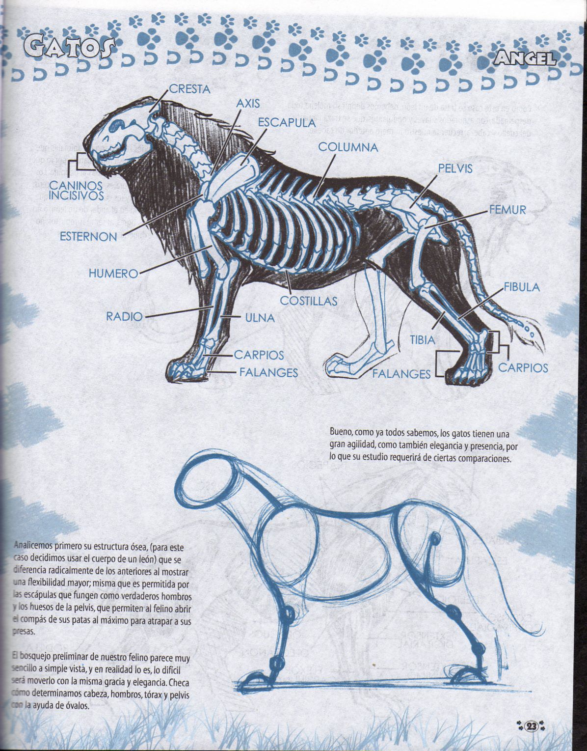 DibujArte Edicion Normal - 21 al 50 / de 50 [Spanish] 728