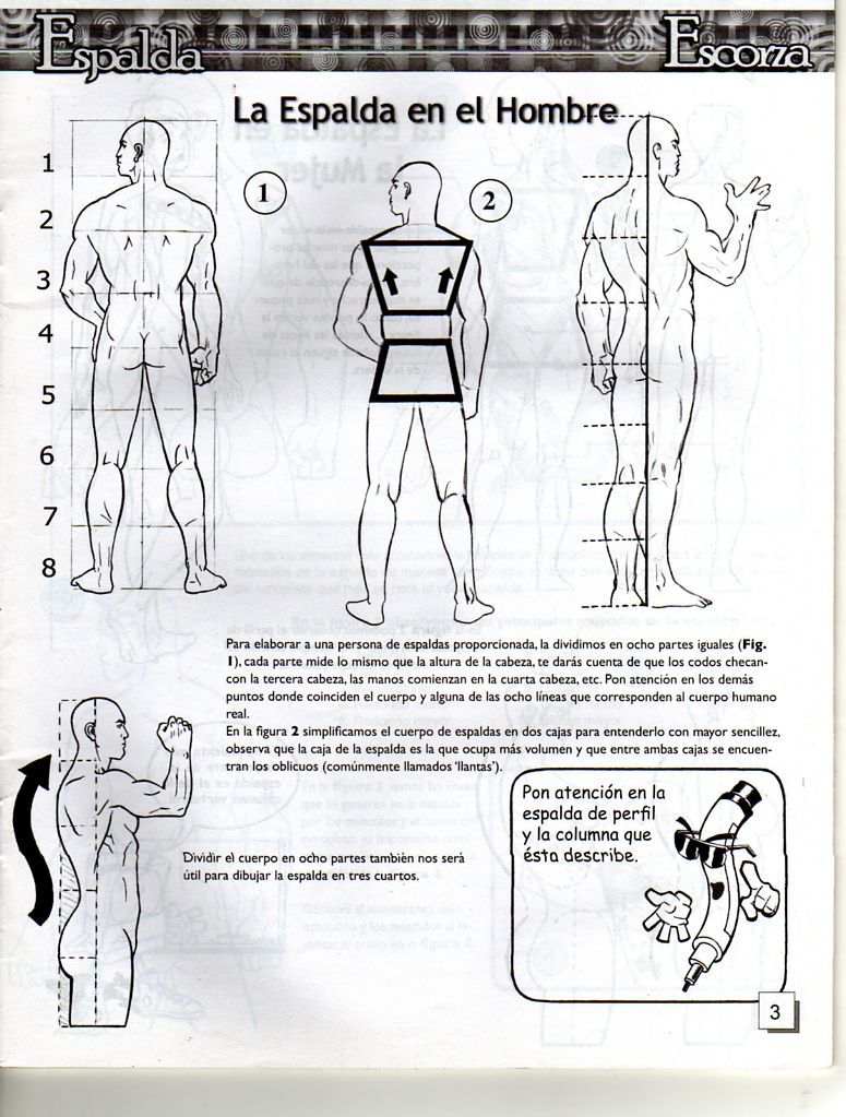 DibujArte Edicion Normal - 21 al 50 / de 50 [Spanish] 784