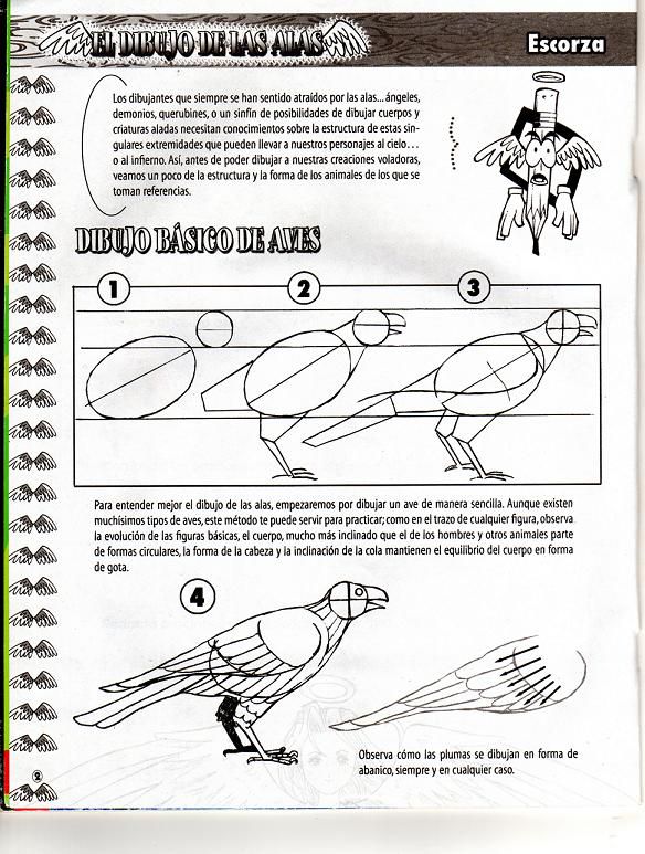 DibujArte Edicion Normal - 21 al 50 / de 50 [Spanish] 846