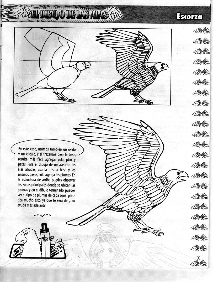 DibujArte Edicion Normal - 21 al 50 / de 50 [Spanish] 847