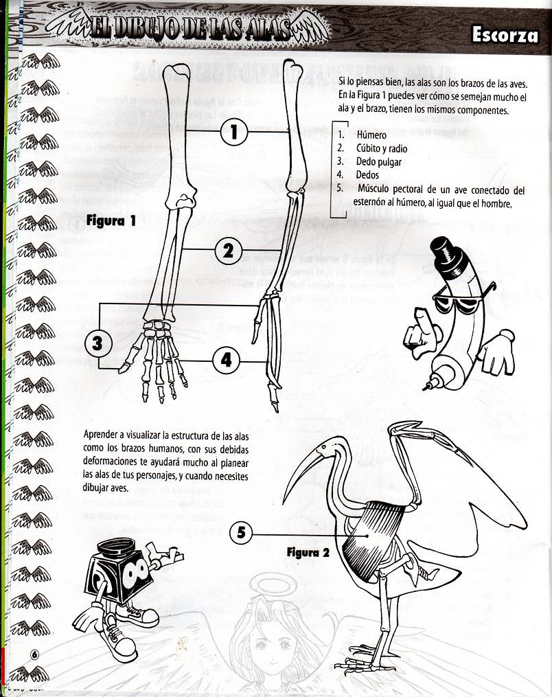 DibujArte Edicion Normal - 21 al 50 / de 50 [Spanish] 850