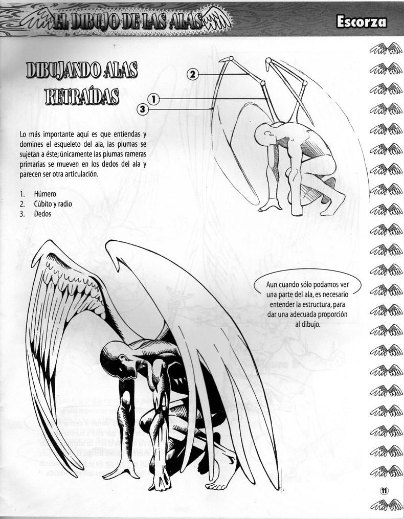 DibujArte Edicion Normal - 21 al 50 / de 50 [Spanish] 855