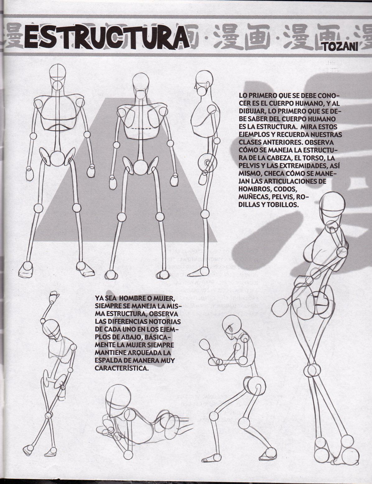 DibujArte Edicion Normal - 21 al 50 / de 50 [Spanish] 93