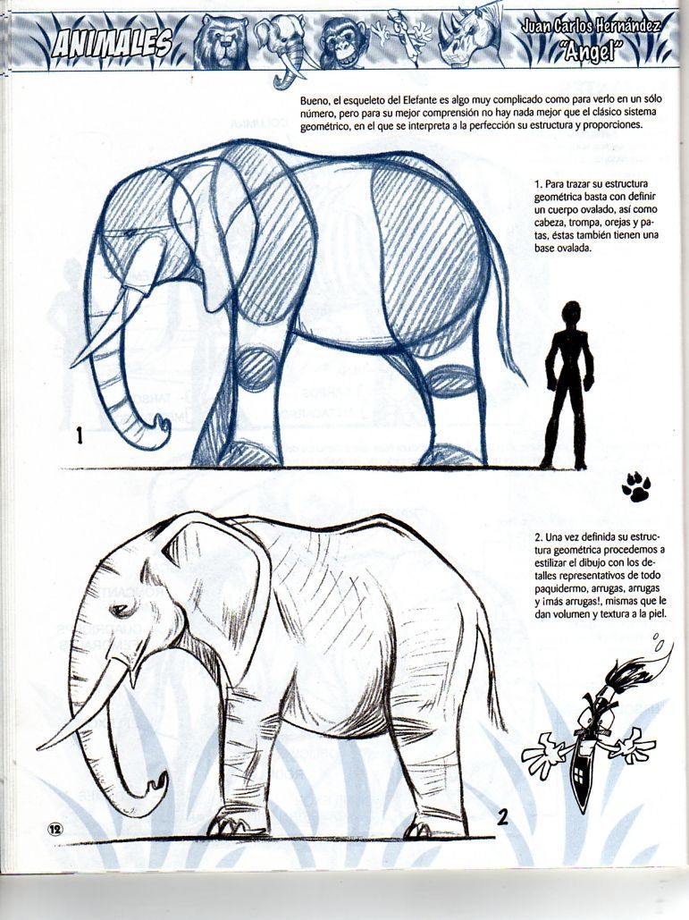 DibujArte Edicion Normal - 21 al 50 / de 50 [Spanish] 935