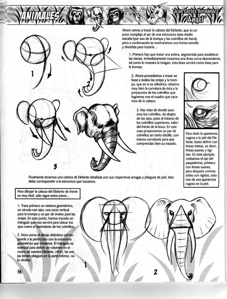 DibujArte Edicion Normal - 21 al 50 / de 50 [Spanish] 937