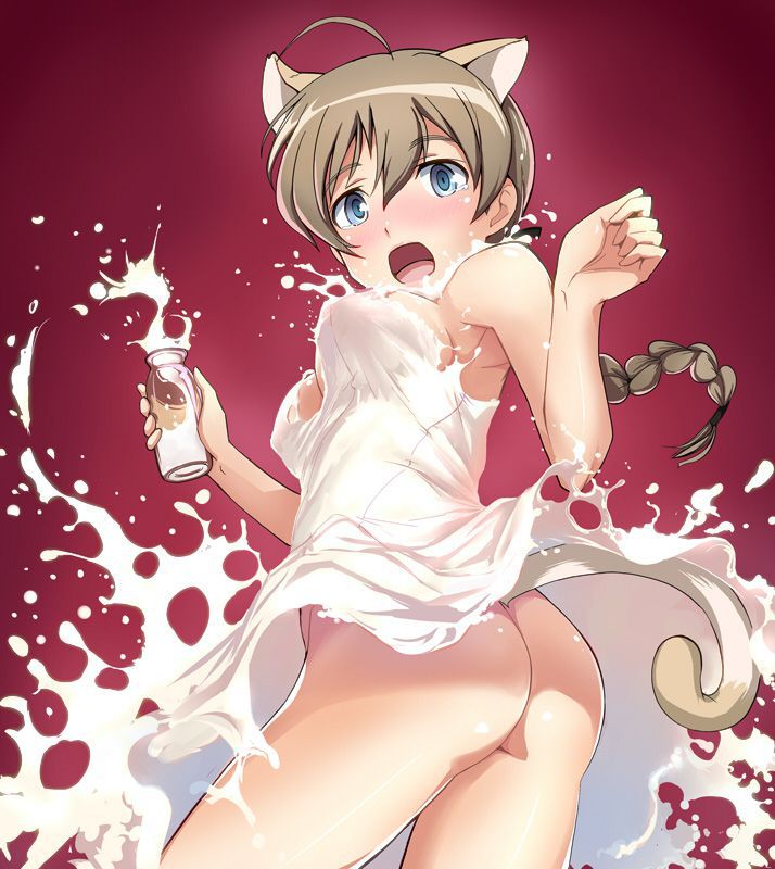 Gather those who want to nudge with erotic images of Strike Witches! 15