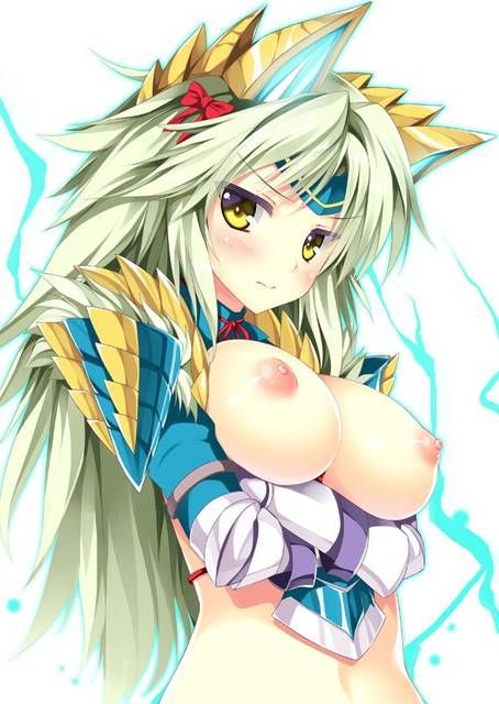 Admire the second erotic pictures of Monster Hunter [48 pictures]. 4 [Hunter] 22