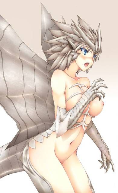 Admire the second erotic pictures of Monster Hunter [48 pictures]. 4 [Hunter] 41