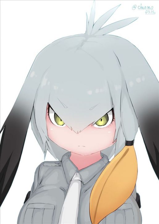 [Beast friends] have high levels of the shoebill erotic pictures 16