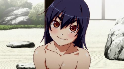 Cute story series kanbaru Suruga-Chan too www wwwwww 14