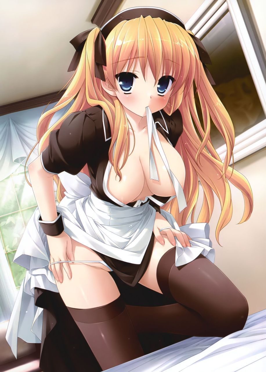 Maid's secondary erotic image. 13
