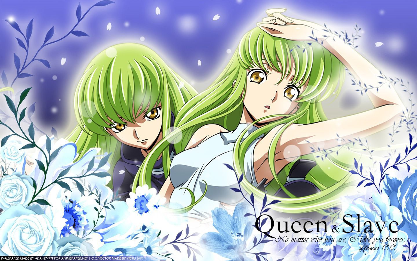 But erotic cute pictures of "Code Geass" c. c. gather / wwwwwwwww 7