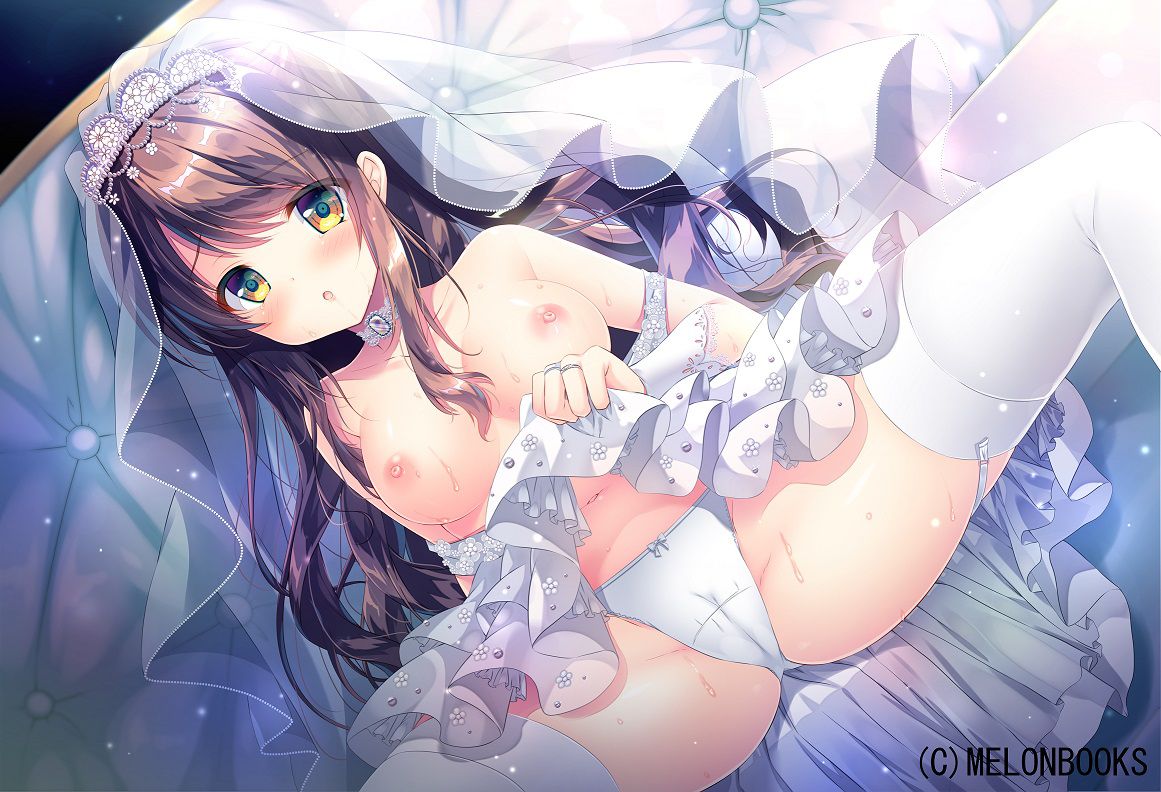 【Erotic Anime Summary】 Sexy Beauty and Beautiful Girls Wearing Garter Belts [50 Sheets] 35