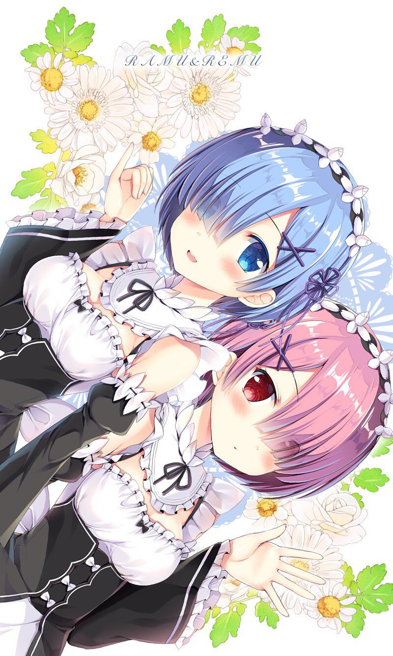 "Rezero" dakimakura REM's popular release postponed past the pillow cover image of wwwwwwwwwww 41