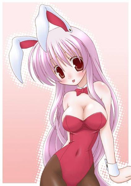 [Net tights: two-dimensional images please etch "Bunny girls day! part8 20
