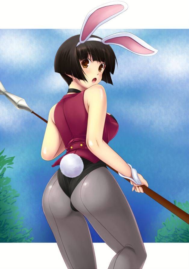 [Net tights: two-dimensional images please etch "Bunny girls day! part8 23