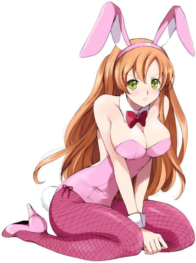 [Net tights: two-dimensional images please etch "Bunny girls day! part8 25