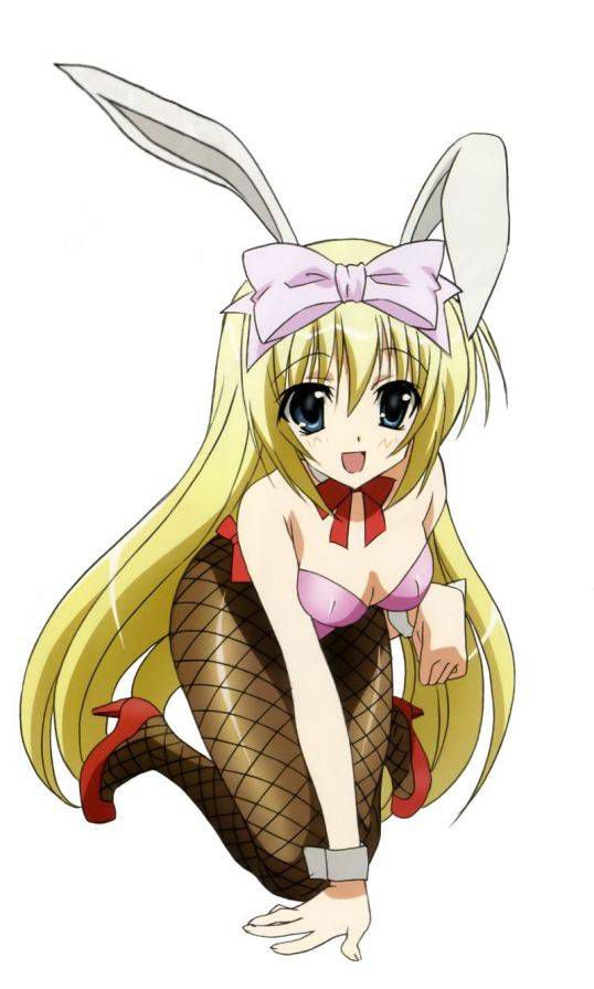 [Net tights: two-dimensional images please etch "Bunny girls day! part8 27