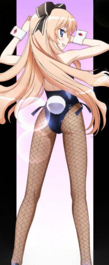 [Net tights: two-dimensional images please etch "Bunny girls day! part8 7