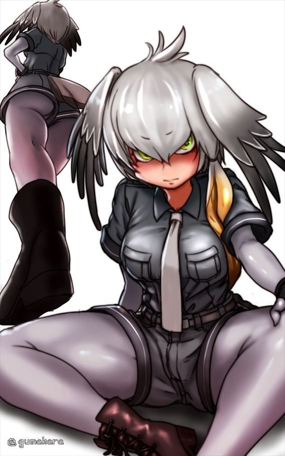 50 erotic images of Mr. shoebill [the installation frame (beast friends)] 11