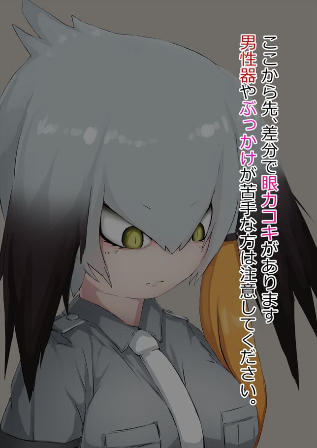 50 erotic images of Mr. shoebill [the installation frame (beast friends)] 14