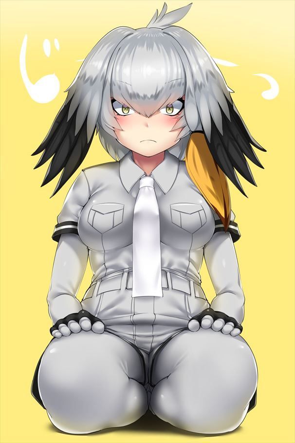 50 erotic images of Mr. shoebill [the installation frame (beast friends)] 19