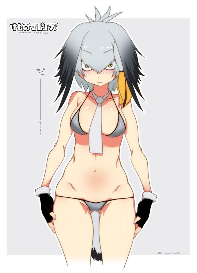 50 erotic images of Mr. shoebill [the installation frame (beast friends)] 20