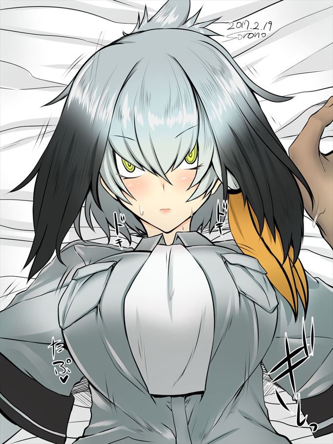 50 erotic images of Mr. shoebill [the installation frame (beast friends)] 23