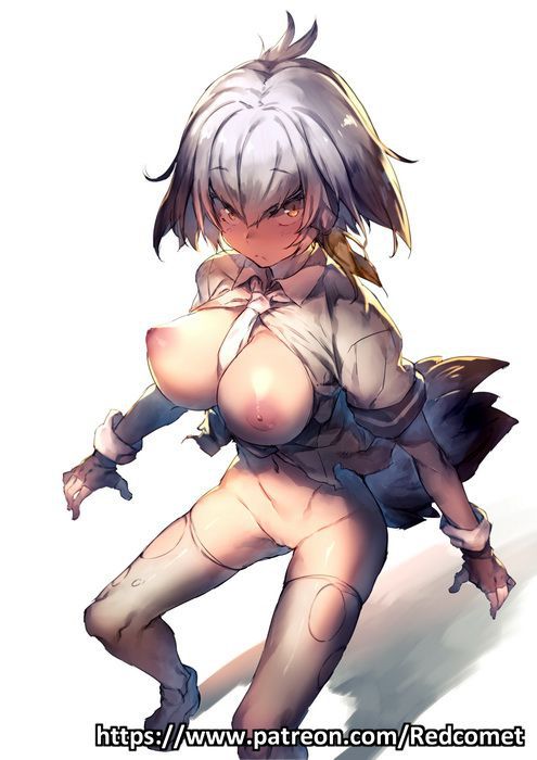 50 erotic images of Mr. shoebill [the installation frame (beast friends)] 26