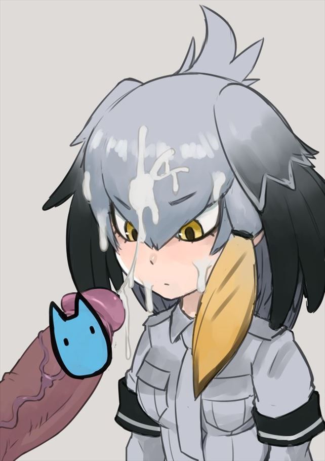 50 erotic images of Mr. shoebill [the installation frame (beast friends)] 28